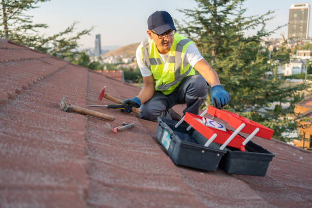 Best Historical Building Siding Restoration  in Richwood, LA